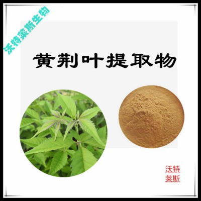 黄荆叶粉 黄荆叶提取物  黄荆叶提取液  黄荆叶浸膏