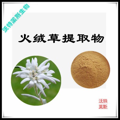 火绒草提取物  火绒草提取液 火绒草浸膏 火绒草粉