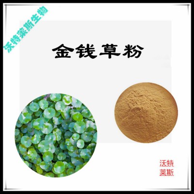 金钱草提取物   金钱草提取液  金钱草浸膏  金钱草粉