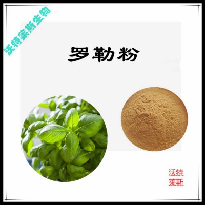 罗勒提取物 罗勒提取液 罗勒浸膏 罗勒粉