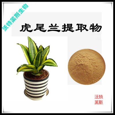 虎尾兰粉  虎尾兰提取物 虎尾兰浸膏 虎尾兰提取液
