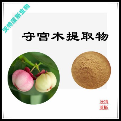 守宫木粉  守宫木提取物 守宫木浸膏 守宫木提取液