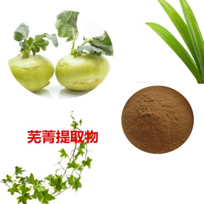芜菁粉 芜菁提取物 芜菁浸膏 芜菁提取液
