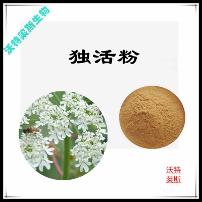 独活粉 独活提取物 独活浸膏 独活提取液