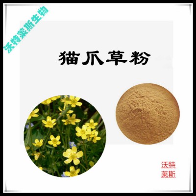 猫爪草粉 猫爪草提取物 猫爪草浸膏 猫爪草提取液