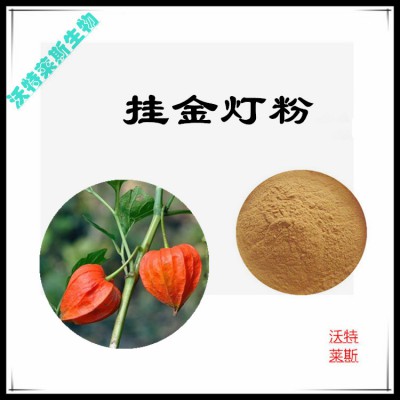 挂金灯粉  挂金灯提取物  挂金灯浸膏  挂金灯提取液
