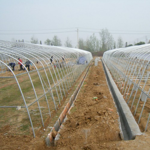 西红柿钢架大棚 新型食用菌大棚建设 农业温室大棚建造