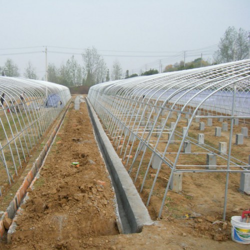 食用菌种植大棚预算造价 温室钢架大棚一亩 小拱棚建设