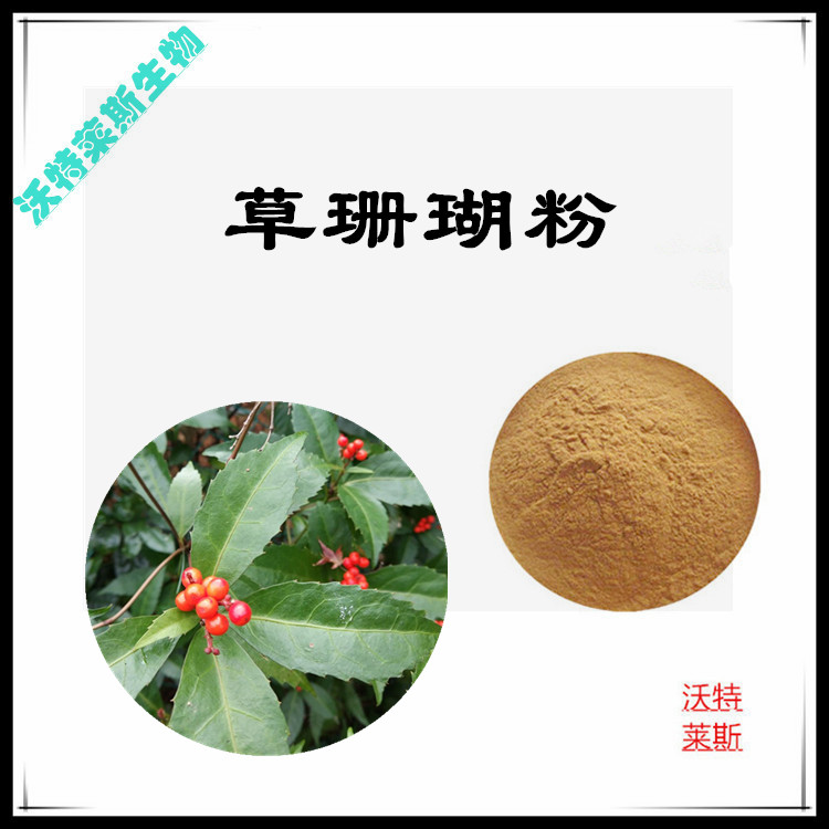 Summer beach concept