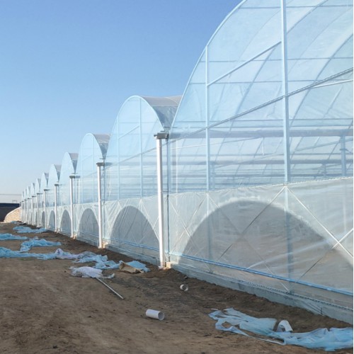 10亩连栋大棚造价 葡萄防雨大棚 江苏宿迁大棚骨架厂