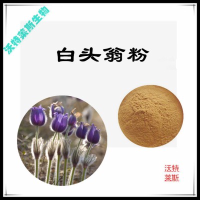 白头翁粉 白头翁提取物 白头翁浸膏 白头翁提取液