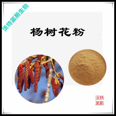 杨树花粉 杨树花提取物 杨树花浸膏 杨树花提取液