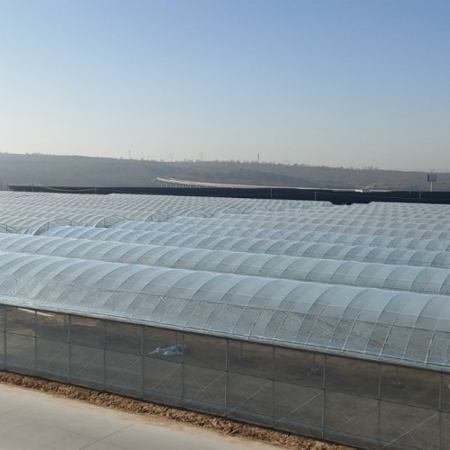 宿迁钢架大棚厂 恒温蔬菜大棚造价 农业大棚建设公司