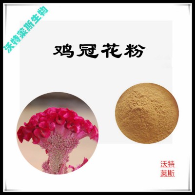 鸡冠花粉 鸡冠花提取物 鸡冠花浸膏  鸡冠花提取液