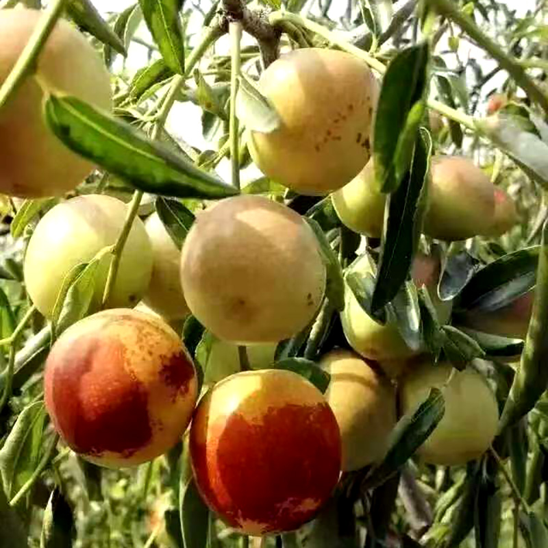 Summer beach concept