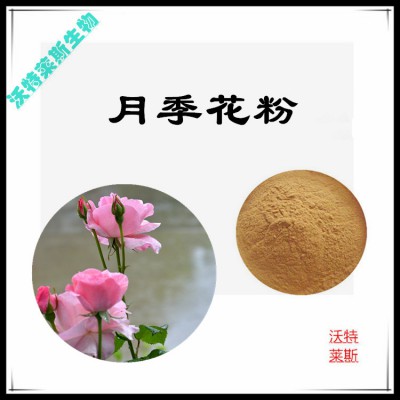 月季花粉  月季花提取物  月季花浸膏 月季花提取液