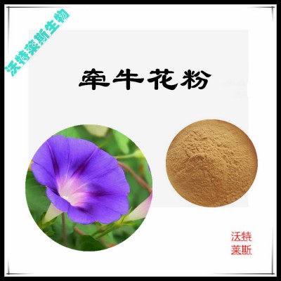 牵牛花粉  牵牛花提取物  牵牛花浸膏 牵牛花提取液