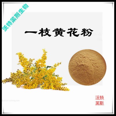 一枝黄花粉  一枝黄花提取物  一枝黄花浸膏 一枝黄花提取液