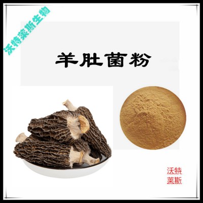 羊肚菌粉 羊肚菌提取物 羊肚菌浸膏 羊肚菌提取液