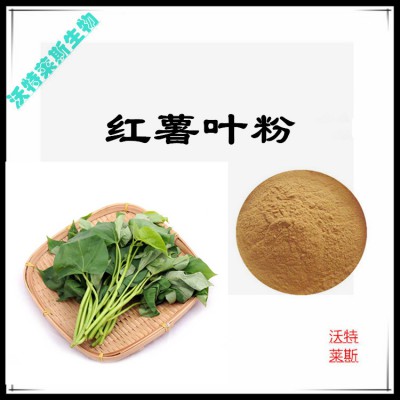 红薯叶粉 红薯叶提取物 红薯叶浸膏 红薯叶提取液