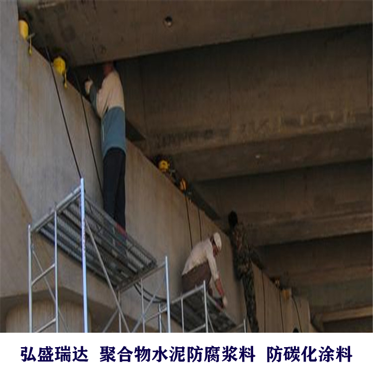 防腐水泥浆 (261)