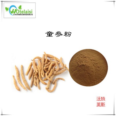 童参粉 童参提取物  童参浸膏 童参提取液