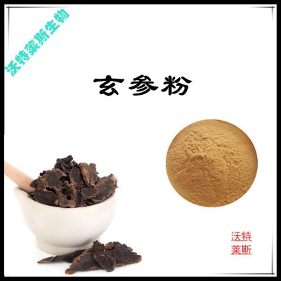 玄参粉  玄参提取物  玄参浸膏 玄参提取液