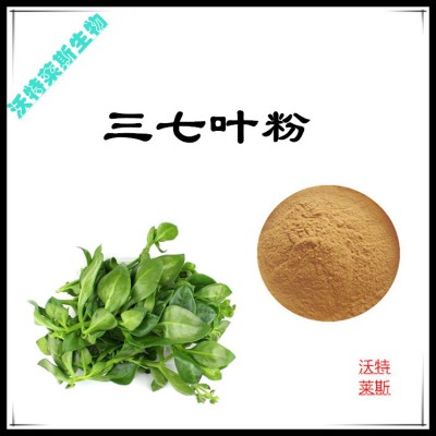 三七叶粉  三七叶提取物 三七叶浸膏 三七叶提取液