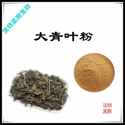 大青叶粉 大青叶提取物  大青叶浸膏 大青叶提取液