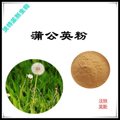 蒲公英粉 蒲公英提取物  蒲公英浸膏 蒲公英提取液