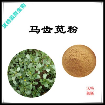 马齿苋粉 马齿苋提取物  马齿苋浸膏 马齿苋提取液