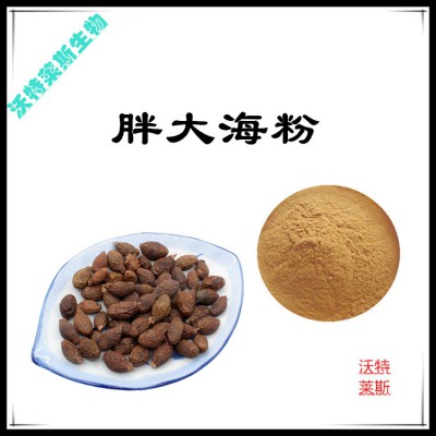 胖大海粉 胖大海提取物  胖大海浸膏 胖大海提取液