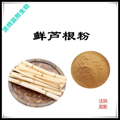 鲜芦根粉 鲜芦根提取物  鲜芦根浸膏 鲜芦根提取液