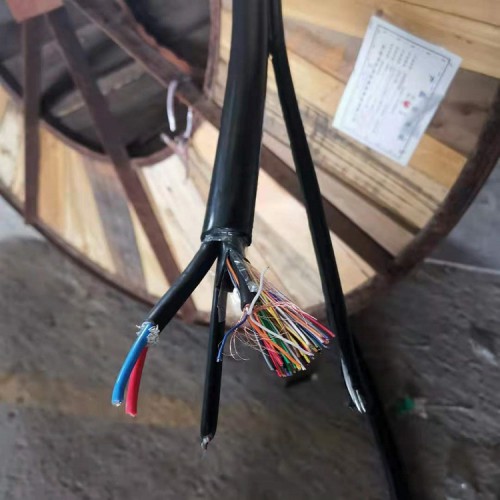 HYAC观光索道通信电缆（钢绞线加大加粗索道电缆）