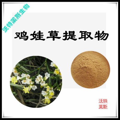 鸡娃草粉 鸡娃草提取物 鸡娃草浸膏 鸡娃草提取液