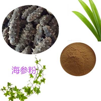 海参粉 海参提取物 海参浸膏 海参提取液
