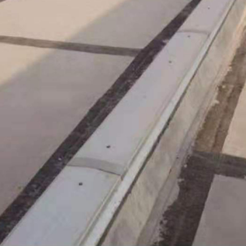 Summer beach concept