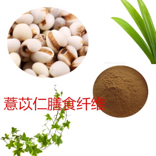 薏苡仁粉 薏苡仁膳食纤维 薏苡仁浸膏 薏苡仁提取液