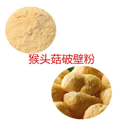 猴头菇粉  猴头菇破壁粉 猴头菇浸膏 猴头菇提取液