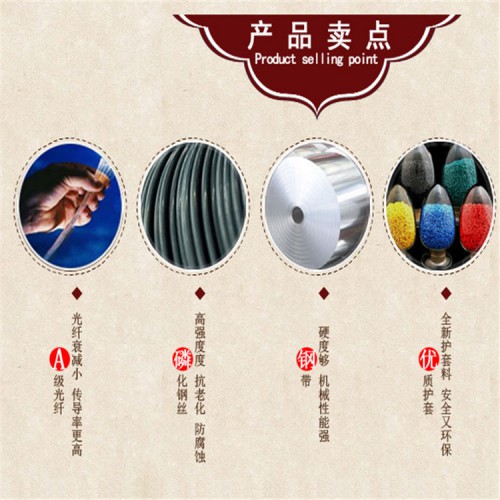 MGTS-24B矿用阻燃光缆 MGTS-24B矿用单模光缆