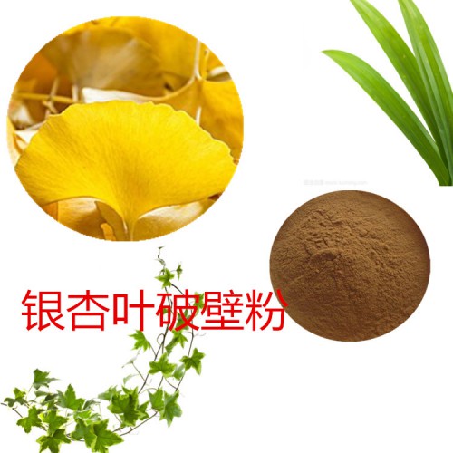 银杏叶粉 银杏叶破壁粉 银杏叶浸膏 银杏叶提取液