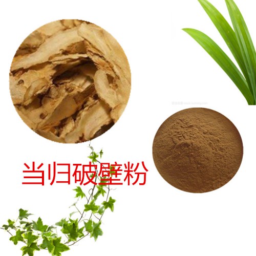 当归粉 当归破壁粉 当归浸膏 当归提取液