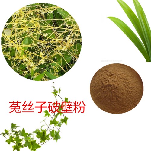 菟丝子粉 菟丝子破壁粉 菟丝子浸膏 菟丝子提取液