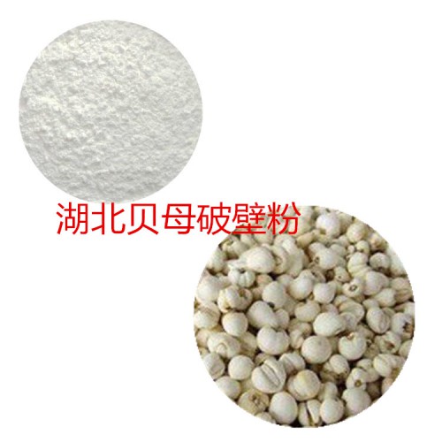 湖北贝母粉 湖北贝母破壁粉 湖北贝母浸膏 湖北贝母提取液