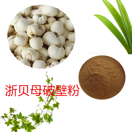 浙贝母粉  浙贝母破壁粉 浙贝母浸膏 浙贝母提取液