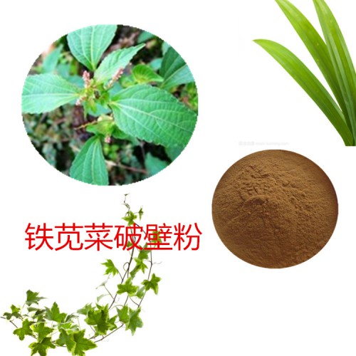 铁苋菜粉  浙贝母破壁粉 铁苋菜浸膏 铁苋菜提取液