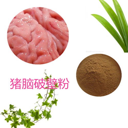 猪脑粉  猪脑破壁粉 猪脑浸膏  猪脑提取液