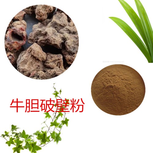 牛胆粉  牛胆破壁粉 牛胆浸膏  牛胆提取液