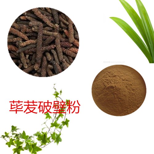 荜茇粉  荜茇破壁粉 荜茇浸膏  荜茇提取液
