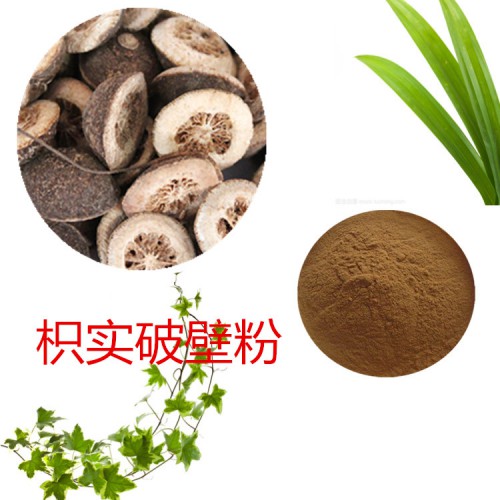 枳实粉  枳实破壁粉 枳实浸膏  枳实提取液